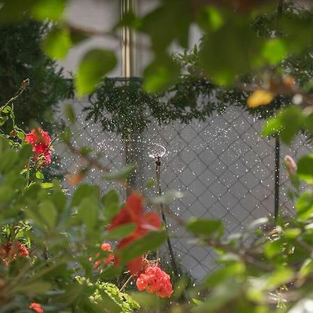 Mulberry Tree Villa Ayos Nikolaos Dış mekan fotoğraf
